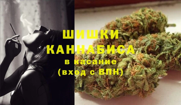 индика Алексеевка