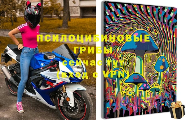 индика Алексеевка