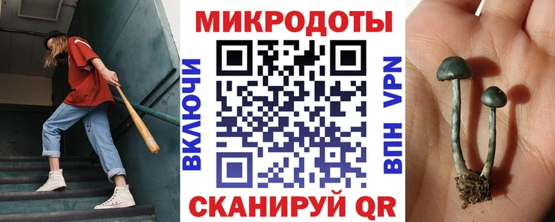 Псилоцибиновые грибы мухоморы  Приозерск 